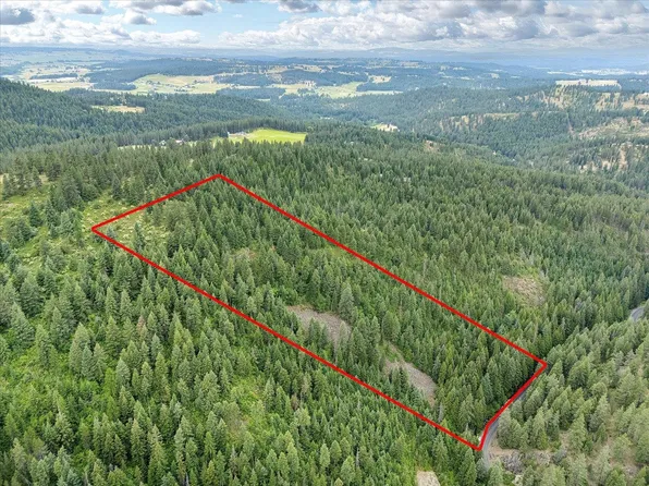 19970 N Mount Spokane Park Dr Parcel 47134.9026, Mead, WA 99021