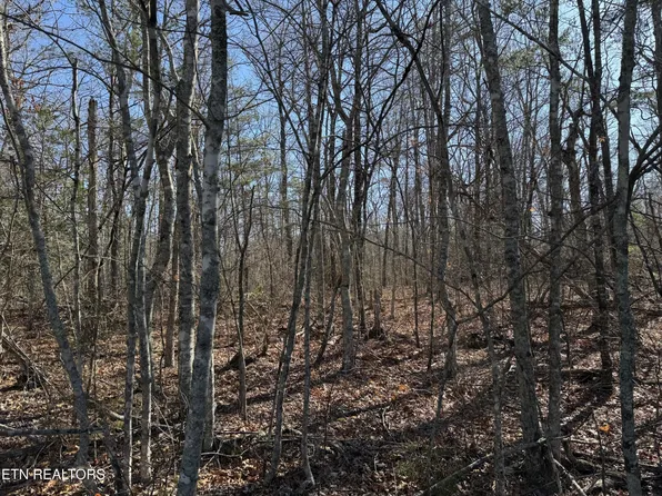 4211 Cumberland Lakes Dr Lot 4, Monterey, TN 38574