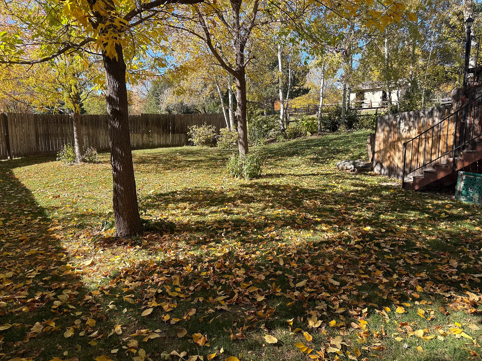 1 bed, 1200 sqft, $1,200 — Photo 2
