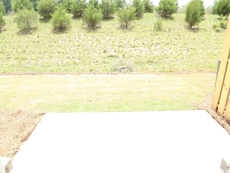 Private Backyard