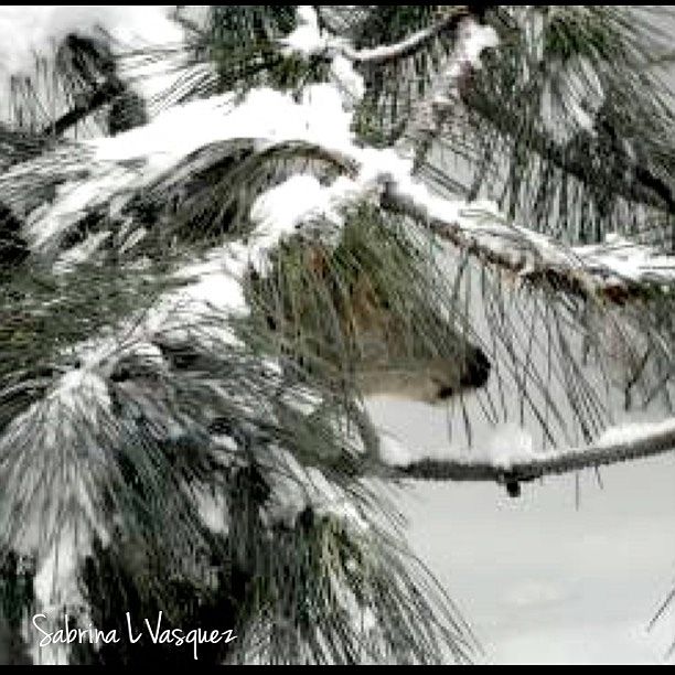2nd image of 6979 Fairway Vistas Rd