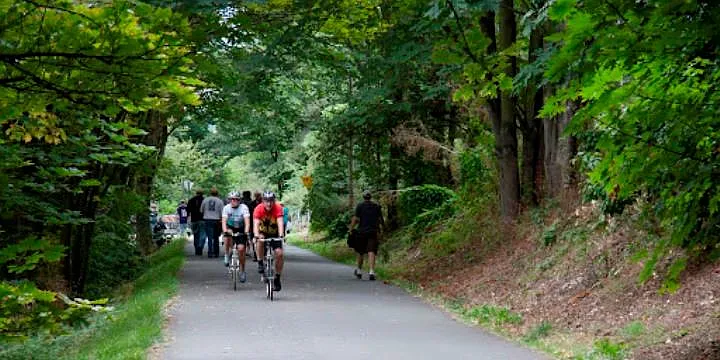 Walk to Burke Gilman Trail
