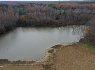 1 Gardner Rd, Byhalia, MS 38611