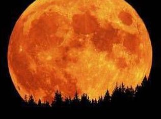 20970 Currie Ct, Northville, MI 48167