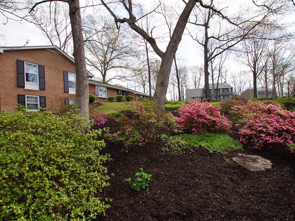 2nd image of 527 Cumberland Rd