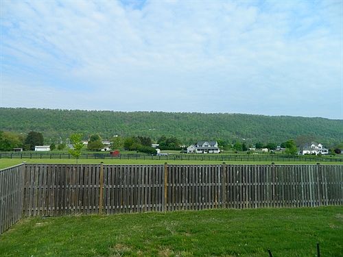 back mountain