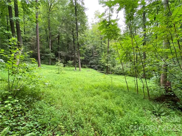 0 Charity Branch Dr, Saluda, NC 28773