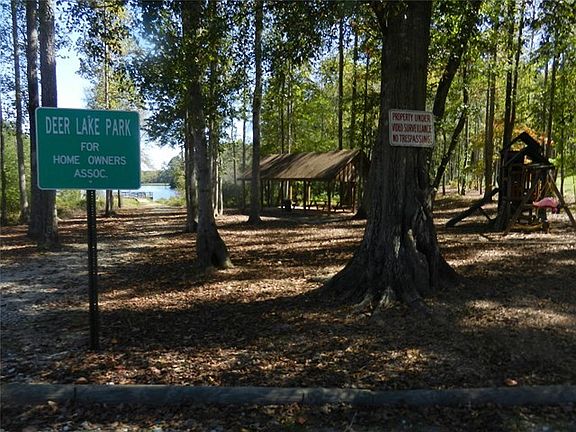 5th image of 250 Deer Lake Dr