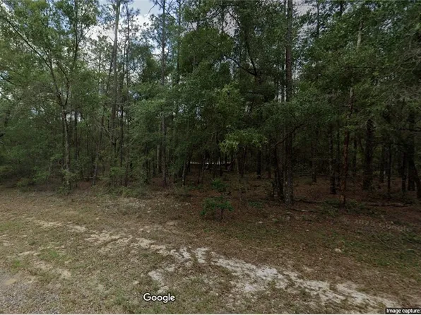 194 E Falcon St, Citrus Springs, FL 34434