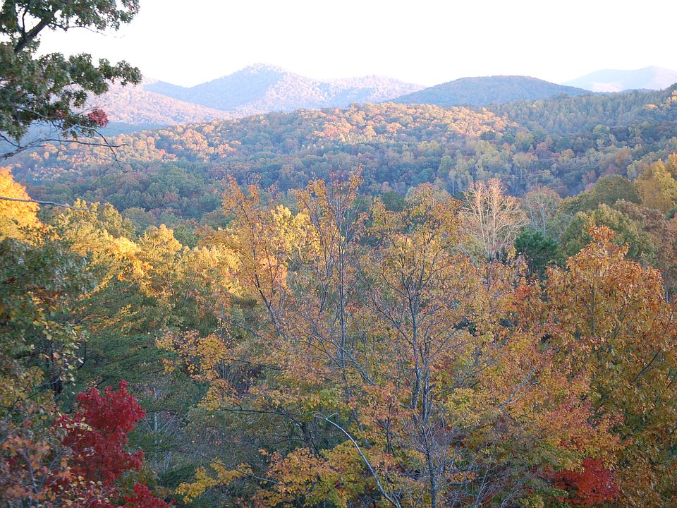 2nd image of 94 Lake Trace Dr