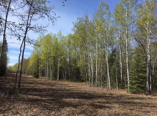 L3 Leng Rd, Delta Junction, AK 99737