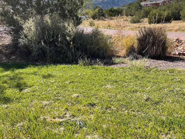 66 Wild Rose Dr — Photo 20