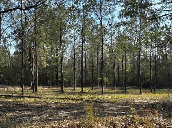 0 County Road 86, Bay Minette, AL 36507