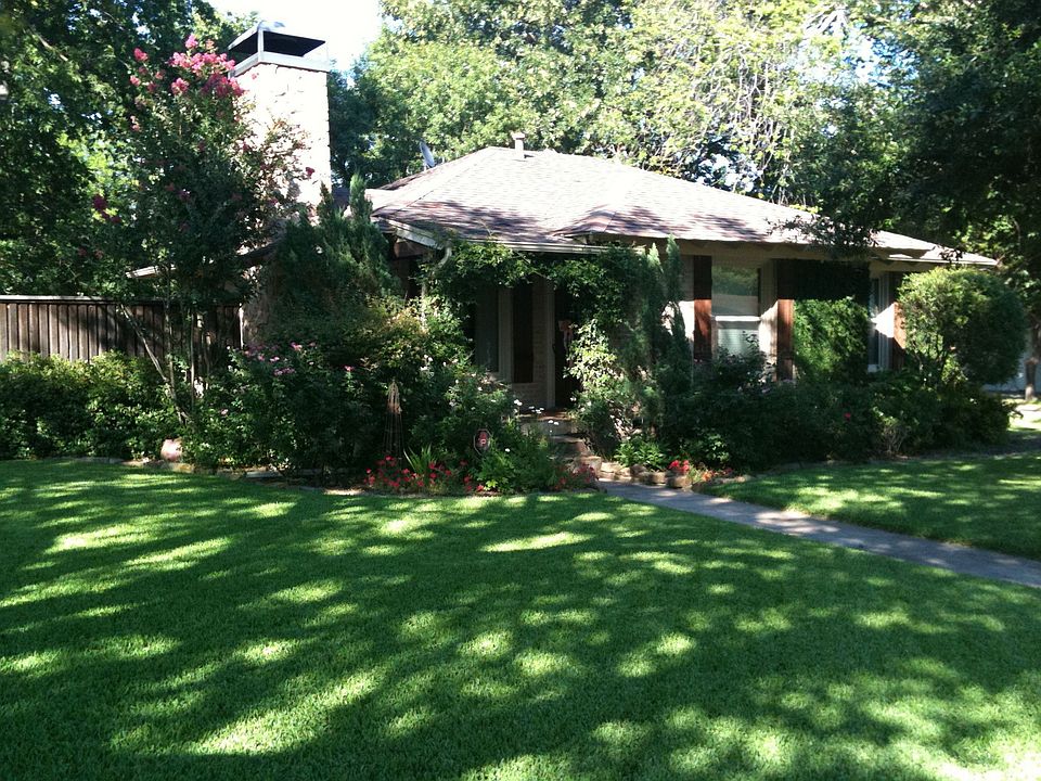 Impeccable lawn