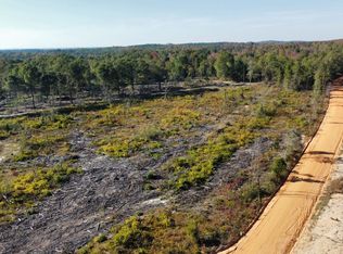 6 Gatewood Rd, Pittsview, AL 36871