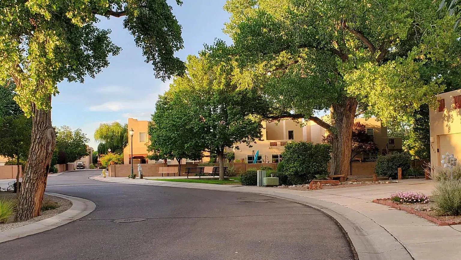 3605 Calle Oveja Ct NW — Photo 4
