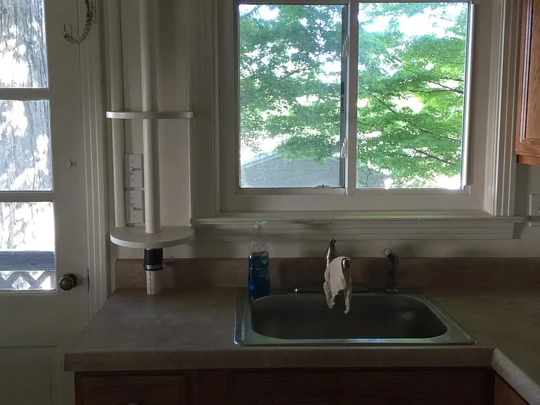 Kitchen overlooking backyard