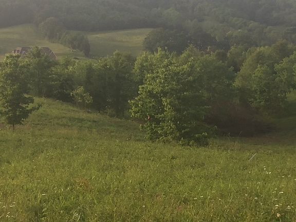 3rd image of 2243 Old Parrottsville Hwy