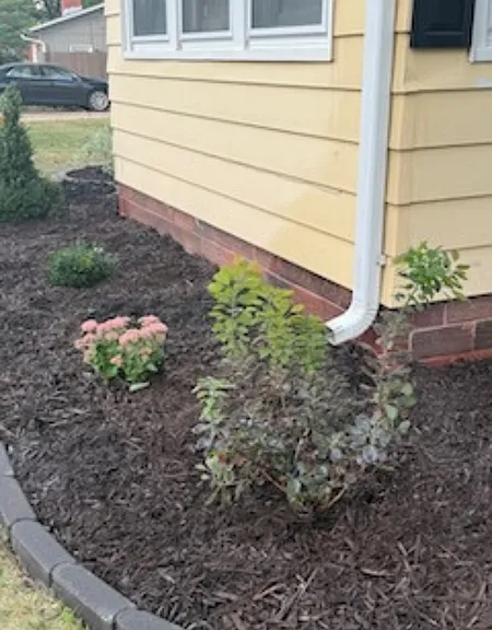 Enjoy new bushes and flowering shrubs when relaxing outside