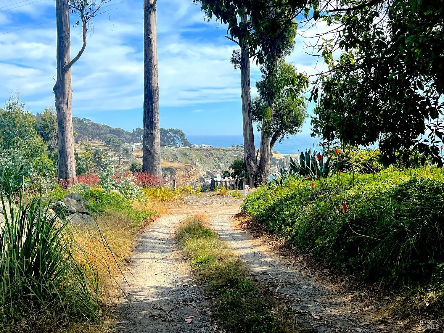 23285 Highway 1 - Photo 2