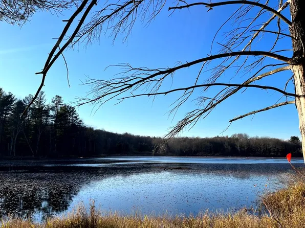 196 Loper Ln, Dushore, PA 18614