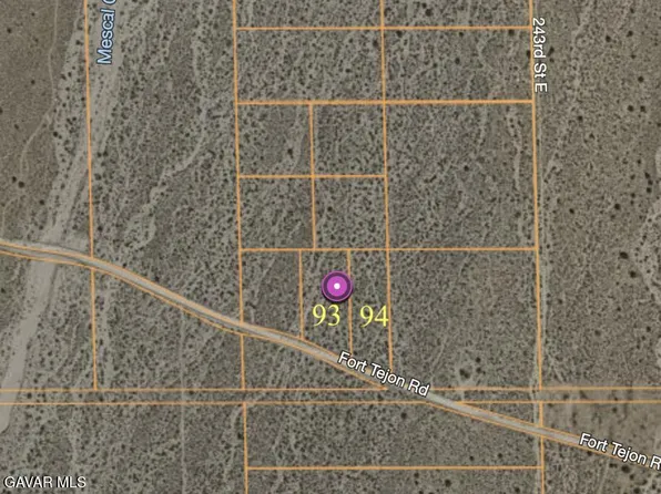 242nd East On Fort Tejon Road Ln, Llano, CA 93544