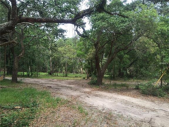 3rd image of 16501 State Road 19