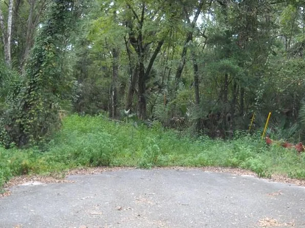 580 NE 597th St, Old Town, FL 32680