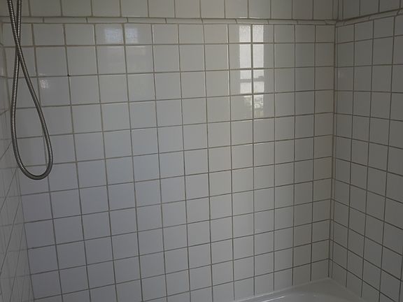 Shower/ Bath Combo