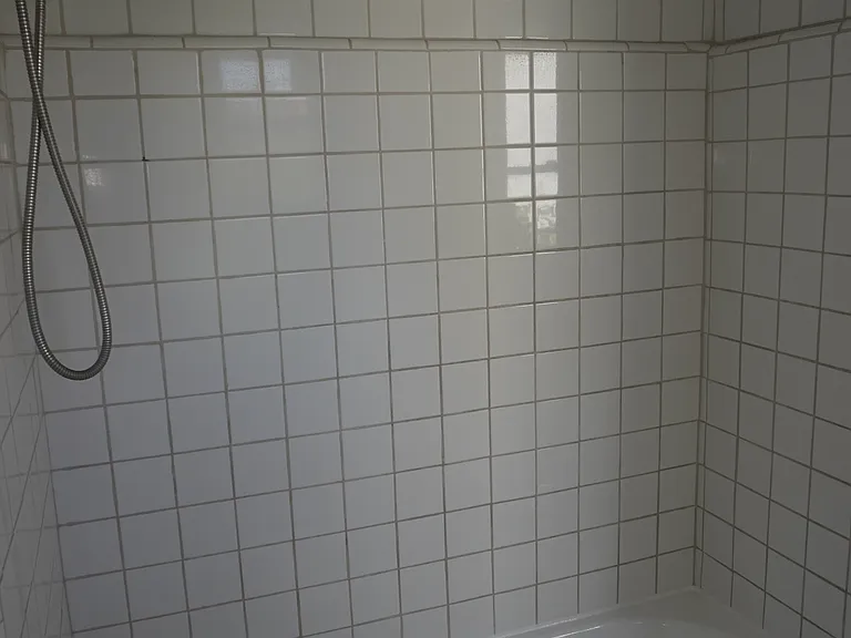 Shower/ Bath Combo
