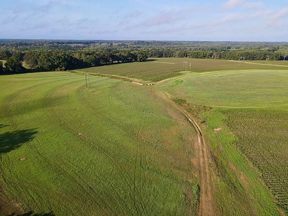 Dji Fly 20260908 081446 396 1788873435757 Photo