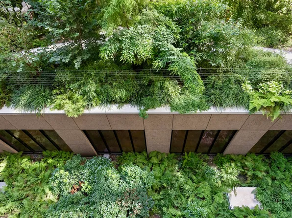 58 Saint Marks Place image 9 of 26