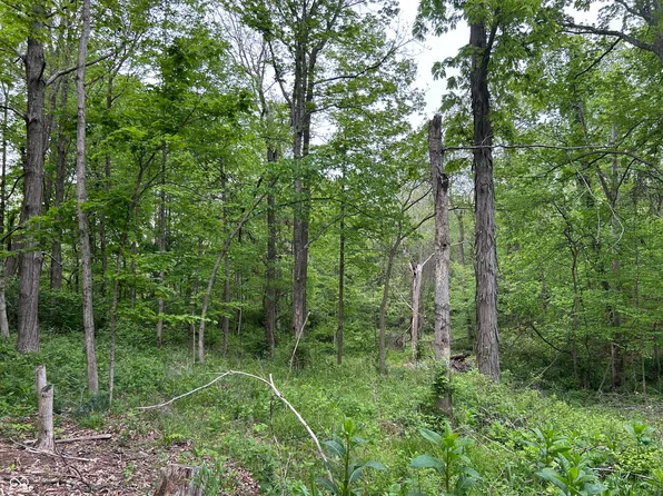 0 S Howard Prince Dr, Nineveh, IN 46164