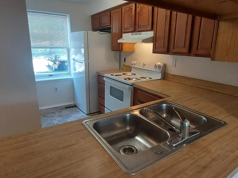 19608 Twinflower Cir — Photo 5