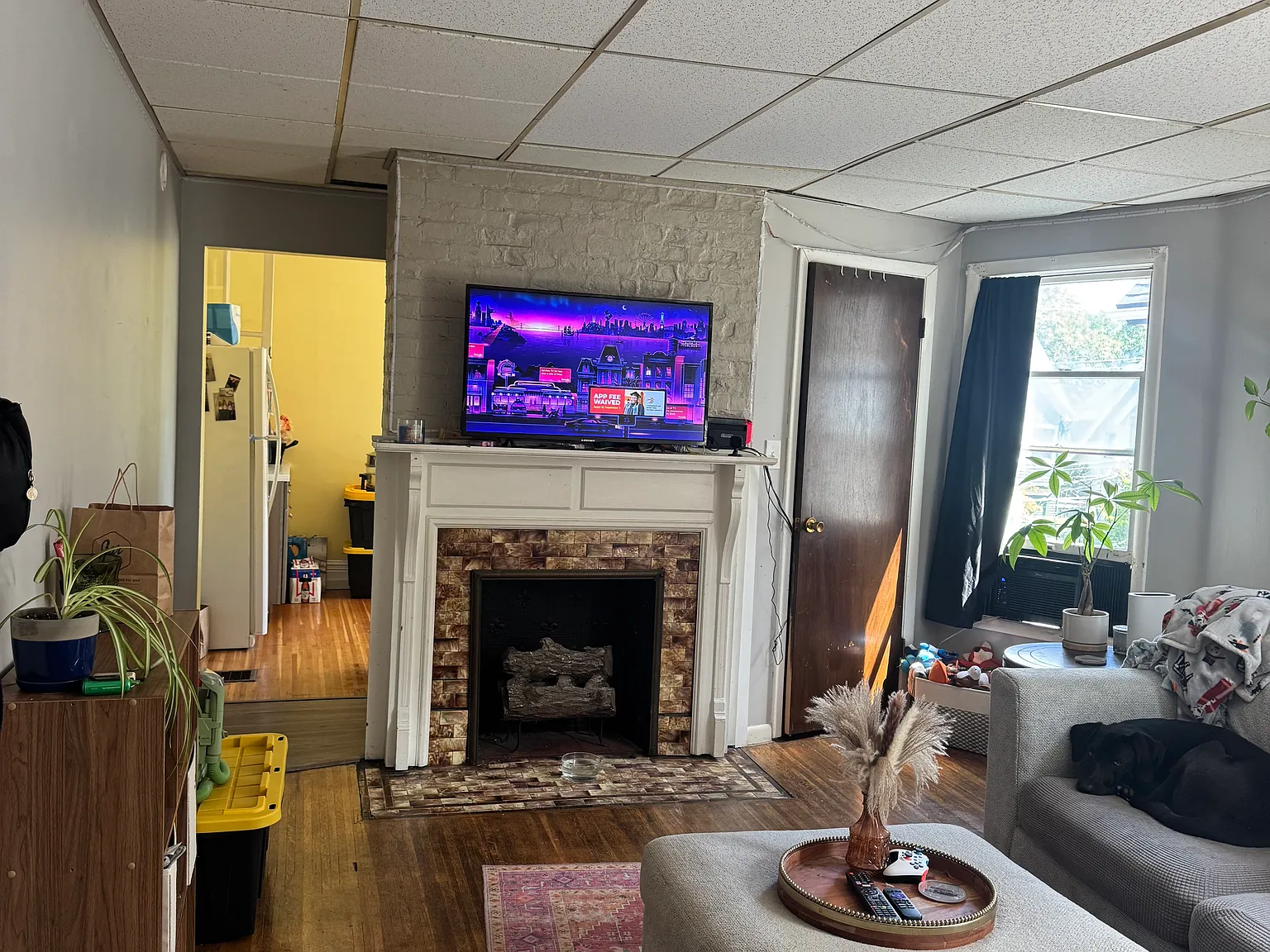 1 bed, 800 sqft, $1,400 — Photo 3