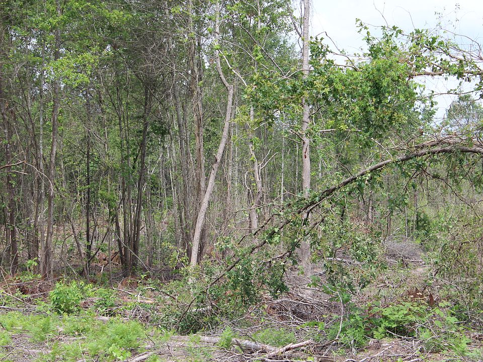 1st image of 0 Tammany Dr