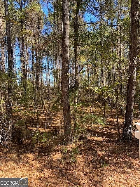 0 Triune Mill Rd Tract 201 photo 1