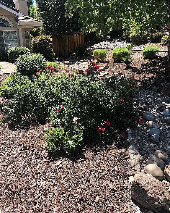Updated front yard