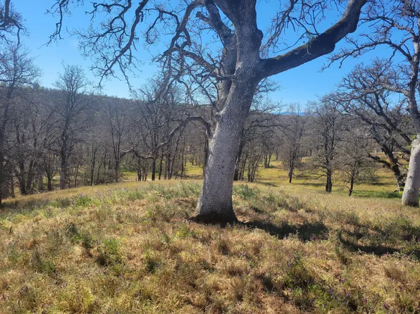 Bywood, Cottonwood, CA 96022