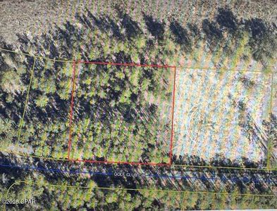 Golf Club Loop, Ponce De Leon, FL, 32455