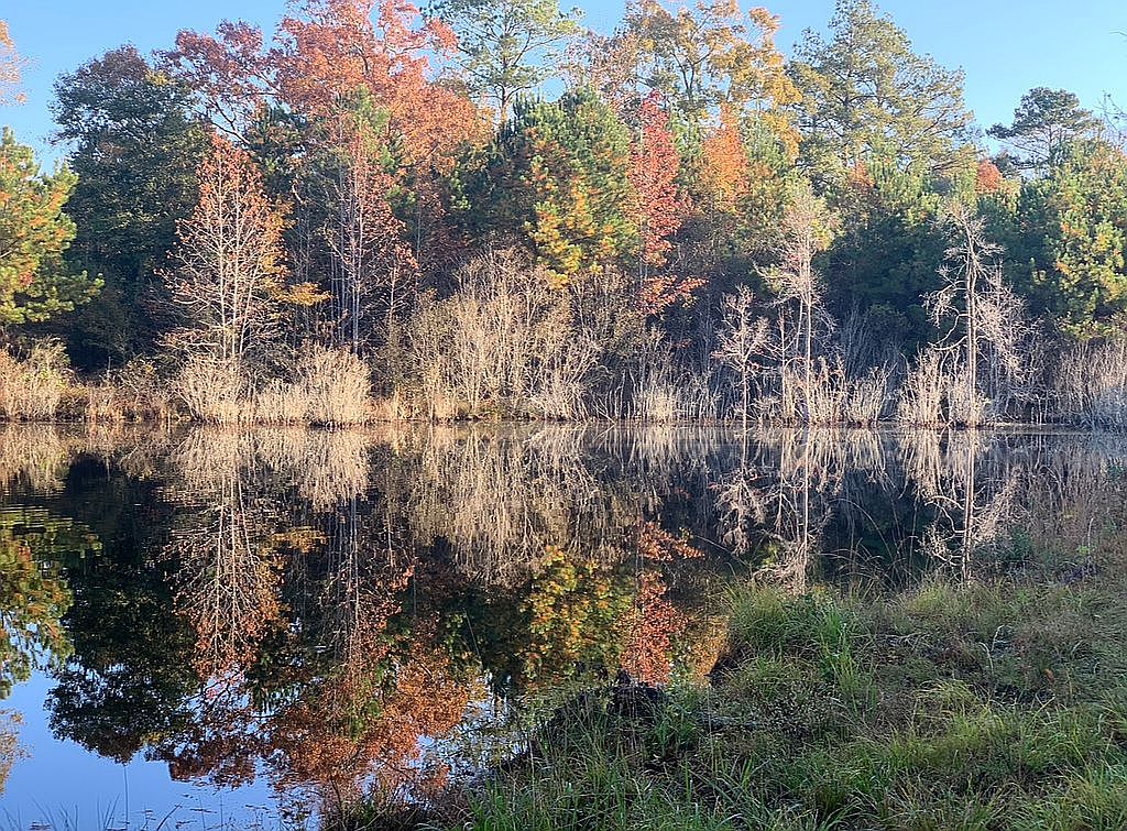 30441 Holley Rd, Andalusia, AL 36421 Zillow