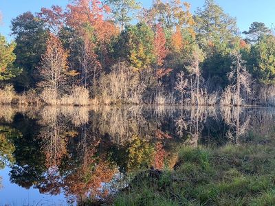 30441 Holley Rd, Andalusia, AL, 36421