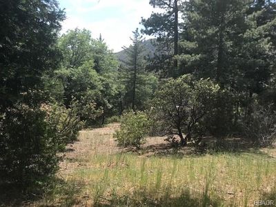 0 Cedar Ln, Big Bear City, CA, 92314