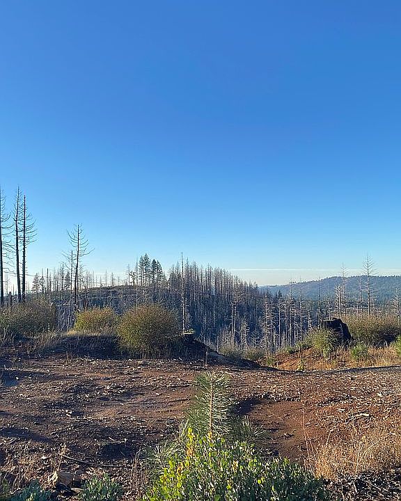 1st image of 5070 Rollingwood Dr