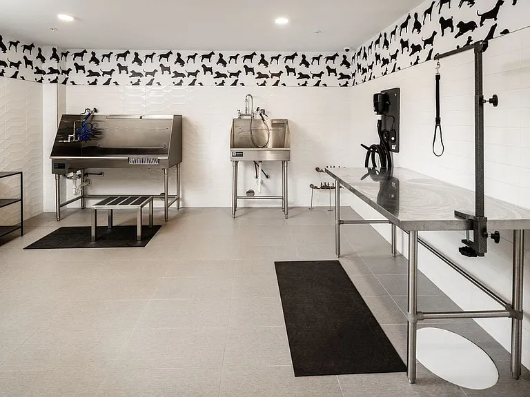 WAG pet spa with bathing area and grooming equipment