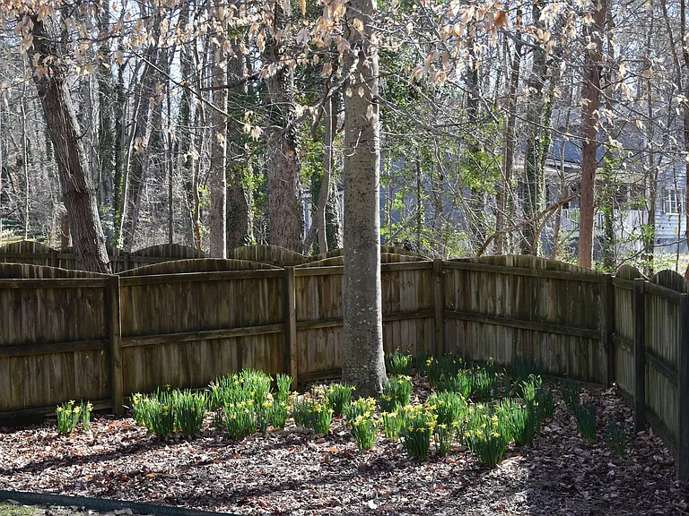106 Trailing Fig Ct — Photo 22