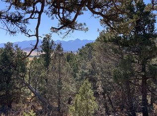 1863 22nd Trl, Cotopaxi, CO 81223