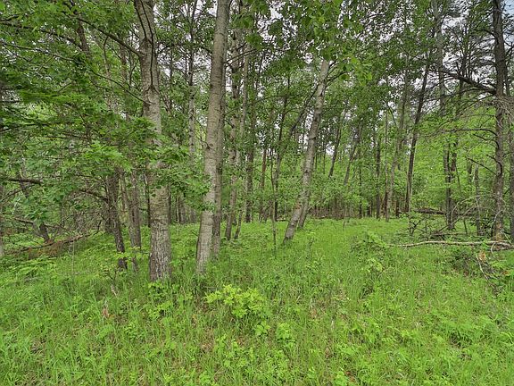 4th image of LOT 15 Cedar St