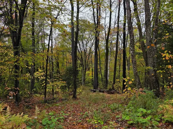 00 Heartwellville View Road #65/66/69/70, Readsboro, VT 05350