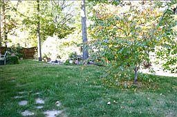 1st image of 6512 Buttercup Dr